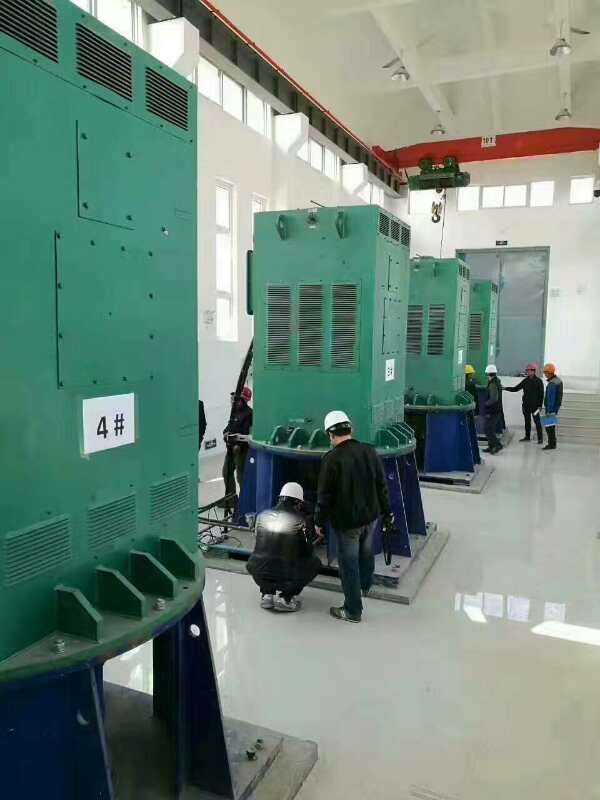YKS4002-6某污水处理厂使用我厂的立式高压电机安装现场